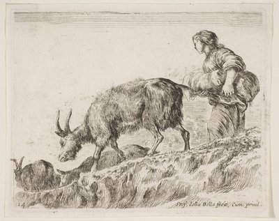プレート14：さまざまな動物からの山羊を放牧する羊飼いDiversi animali、ca. 1641年。 作： Stefano della Bella