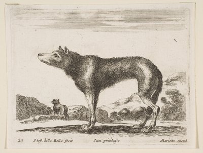 プレート20：オオカミ、さまざまな動物から異なる動物、ca。 1641年。 作： Stefano della Bella