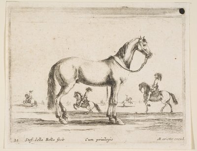 プレート21：さまざまな動物の馬Diversi animali、1641年。 作： Stefano della Bella