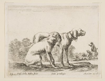 プレート23：さまざまな動物の2匹の猟犬Diversi animali、ca. 1641年。 作： Stefano della Bella