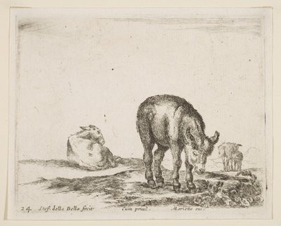 プレート24：さまざまな動物のロバ、Diversi animali、ca。 1641年。 作： Stefano della Bella