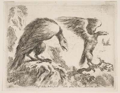 プレート2：ワシとワシ、さまざまな動物からDiversi animali、ca. 1641年。 作： Stefano della Bella
