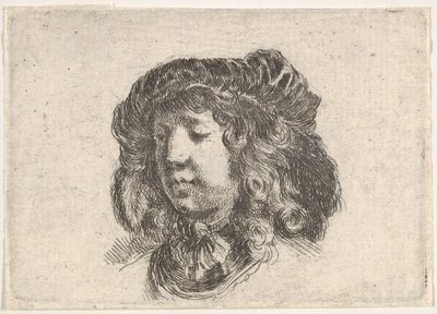 プレート 34: 数枚の羽で飾られた帽子をかぶった若い男性の頭。 1646年。 作： Stefano della Bella