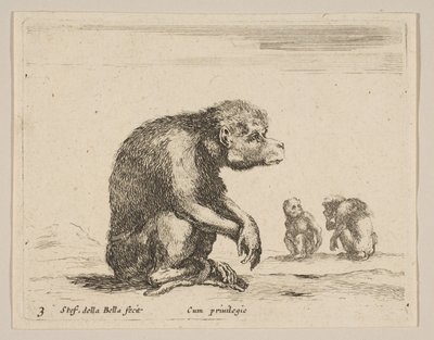 プレート3：座っているサル、さまざまな動物からDiversi animali、ca. 1641年。 作： Stefano della Bella