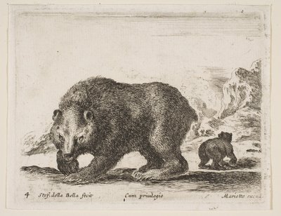 プレート4：熊（「様々な動物」より Diversi animali, 1641年）。 作： Stefano della Bella