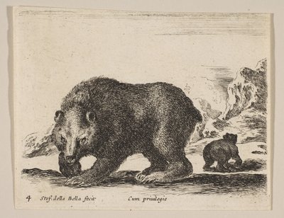 プレート4：熊（「様々な動物」より） Diversi animali, ca. 1641. 作： Stefano della Bella