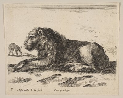 プレート5：さまざまな動物のリクライニングライオンDiversi animali、ca. 1641年。 作： Stefano della Bella