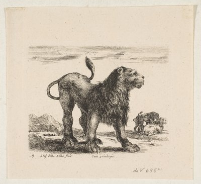 プレート6：ライオン、「様々な動物」より Diversi animali、1641年頃。 作： Stefano della Bella