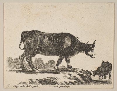 プレート7：さまざまな動物の牛Diversi animali、ca. 1641年。 作： Stefano della Bella