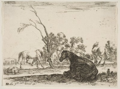 プレート8：後ろから座って右に座っている馬、他の3つの馬...、1642年 作： Stefano della Bella