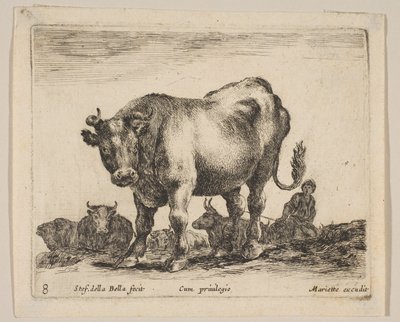 プレート8：牛（「様々な動物」より） Diversi animali, ca. 1641. 作： Stefano della Bella