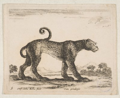 プレート 9: ヒョウ、「さまざまな動物」 Diversi animali、ca. 1641年。 作： Stefano della Bella