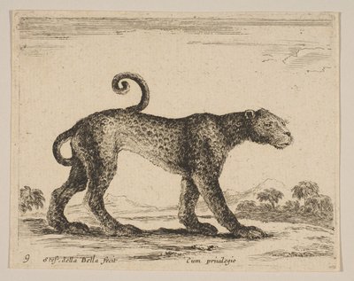 プレート9：ヒョウ、さまざまな動物からDiversi animali、ca. 1641年。 作： Stefano della Bella