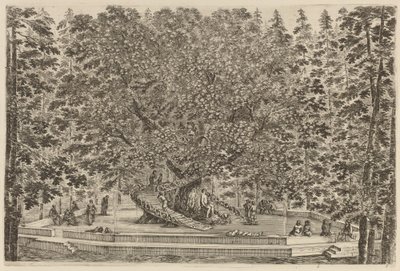 人が住んでいる木、おそらく 1653 年。 作： Stefano della Bella