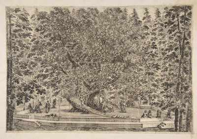 プラトリノのツリーハウス、ca。 1653年。 作： Stefano della Bella