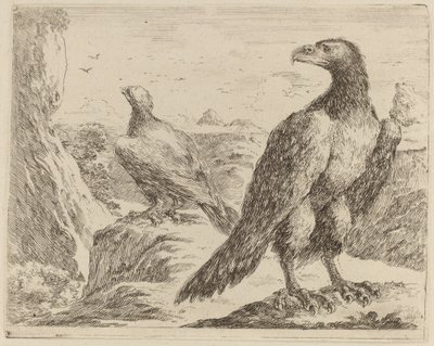 頭を左に向けた 2 頭のワシ。 作： Stefano della Bella