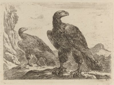 頭を右に向けた 2 羽のワシ 作： Stefano della Bella