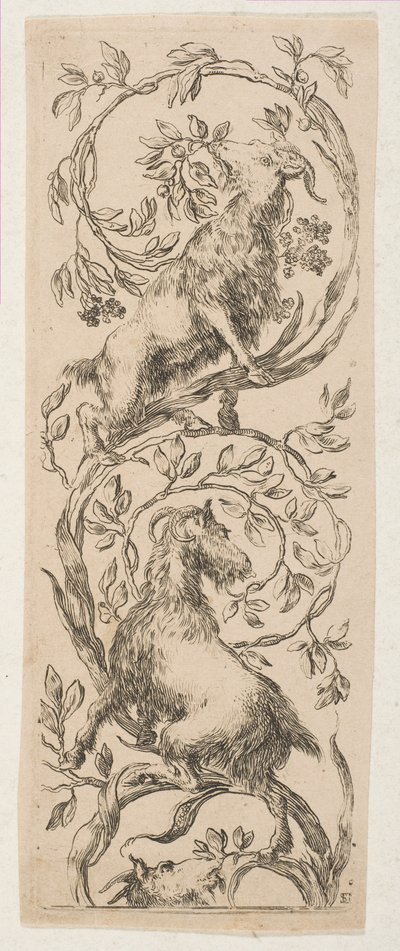 枝をかじる 2 匹のヤギ、カリフォルニア州。 1653年。 作： Stefano della Bella