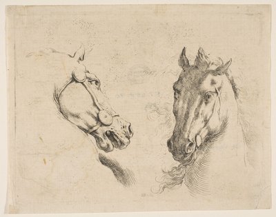 2つの馬の頭、ca。 1649 作： Stefano della Bella