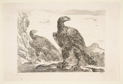 2 羽のワシ、「イーグル」レ ゼーグル、カリフォルニア州から。 1651年。 作： Stefano della Bella