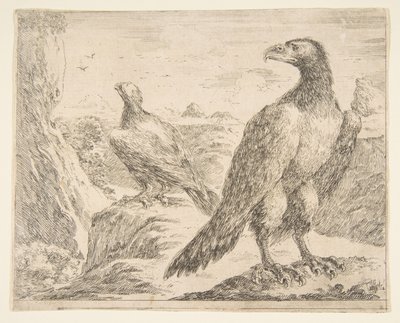 Eagles Les aiglesからの2つのワシ、ca。 1651年。 作： Stefano della Bella