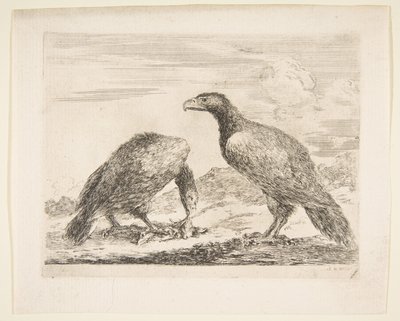 2匹のワシ、1匹は子羊を食べて、イーグルレスエーグルから。 1651年。 作： Stefano della Bella
