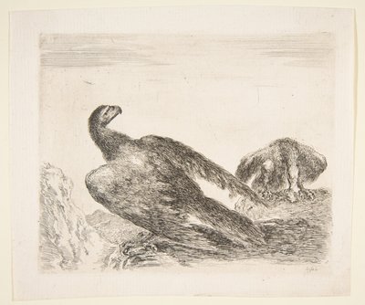 Eagles Les aiglesからの2つのワシ、1つは獲物、 1651年。 作： Stefano della Bella