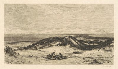 海の蛇 作： Stephen Alonzo Schoff, after Elihu Vedder