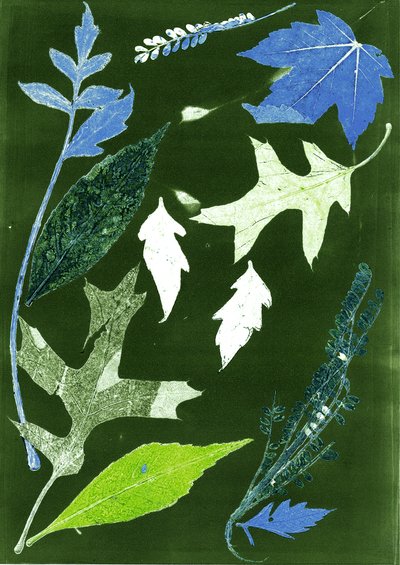Jol X green, 2017（デジタル） 作： Stephen Dow