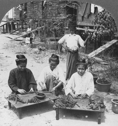 女性が喫煙する巨大な葉巻を作ること、ビルマ、1908 作： Stereo Travel Co