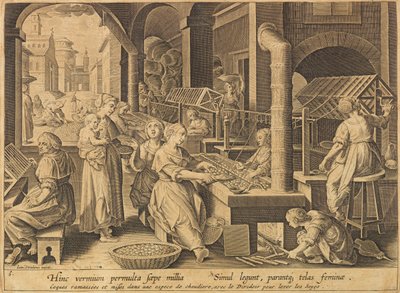 1640年以降の絹抽出Vermis sericus. 作： Stradanus