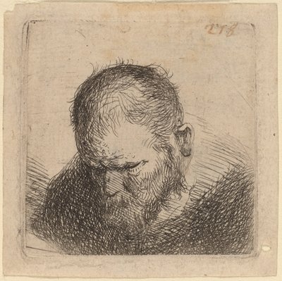 あごひげを生やした男, 見ること 作： Studio of Rembrandt van Rijn