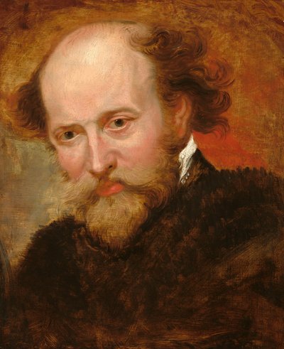 ピーター・パウル・ルーベンス 作： Studio of Sir Peter Paul Rubens