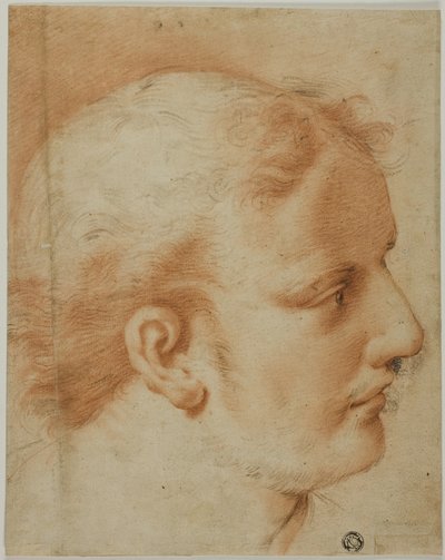 若い男性の頭部、右横顔 作： Style of Benedetto Luti