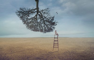  作： Sulaiman Almawash