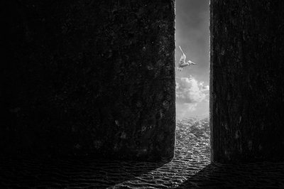  作： Sulaiman Almawash