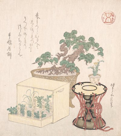 鉢植えの松、太鼓、箱に植えられた7つのハーブ、18〜19世紀., 18〜19世紀. 作： Sunayama Gosei