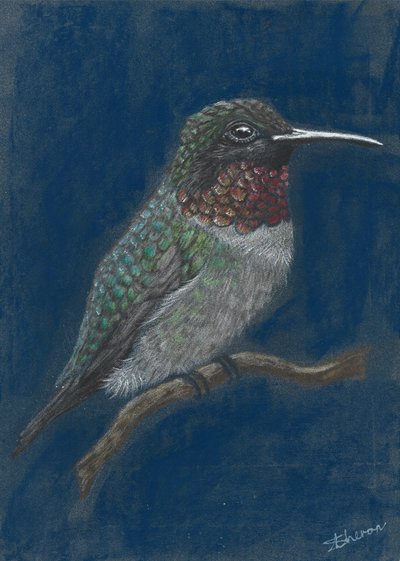 作： 