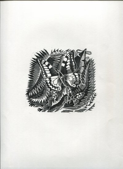 熱帯蝶（木版画） 作： Suzanne Cooper