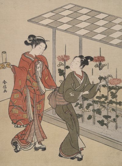 菊花見 作： Suzuki Harunobu
