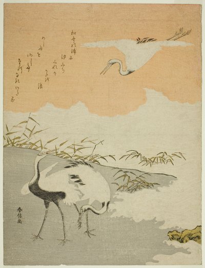 海辺の鶴 作： Suzuki Harunobu