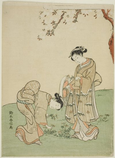 春の花を集める 作： Suzuki Harunobu