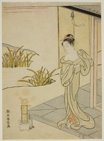 「新版四季の花」より 夏 作： Suzuki Harunobu