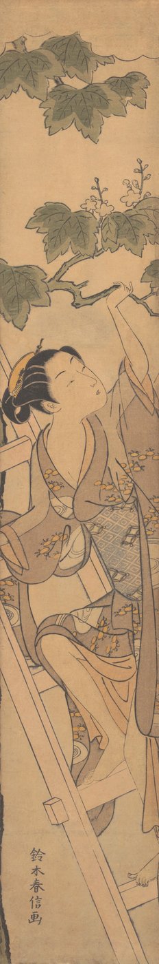 はしごを登る若い女性、カリフォルニア州。 1768年頃。 1768年。 作： Suzuki Harunobu