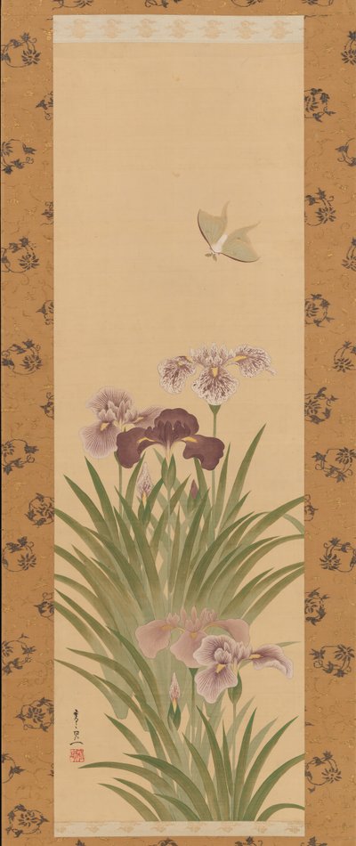 アイリスとモス、ca。 1850 作： Suzuki Kiitsu