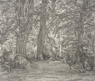 ファルスターの森 作： Svend Hammershøi