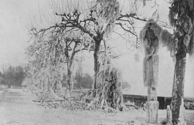 1896年冬、ジュネーブのAux Paquis (モノクロ写真) 作： Swiss Photographer
