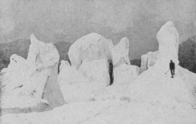 Hautes-Alpesの氷河にて（モノクロ写真 作： Swiss Photographer