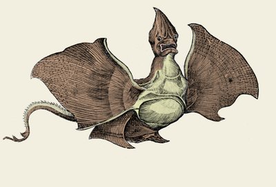 コンラッド・ゲスナーの「Historiae animalium」の挿絵「幻想的な海の怪物」（カラーリトグラフ 作： Swiss School