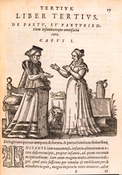 負傷した手で患者の世話をする看護師。JakobRuf著、1587年にDe Concepta et Generatione Hominisから（印刷＆紙に木版画） 作： Swiss School